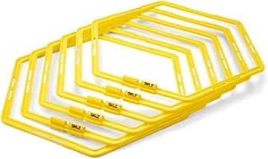 Speed and Agility Training Ladder